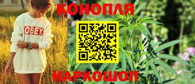 крисы Волжский