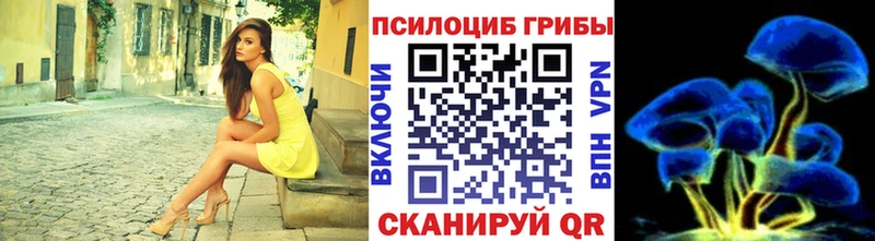 Псилоцибиновые грибы прущие грибы Переславль-Залесский